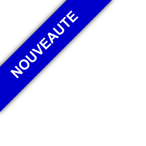 bandeau AGENCE CONSEILS AZUR